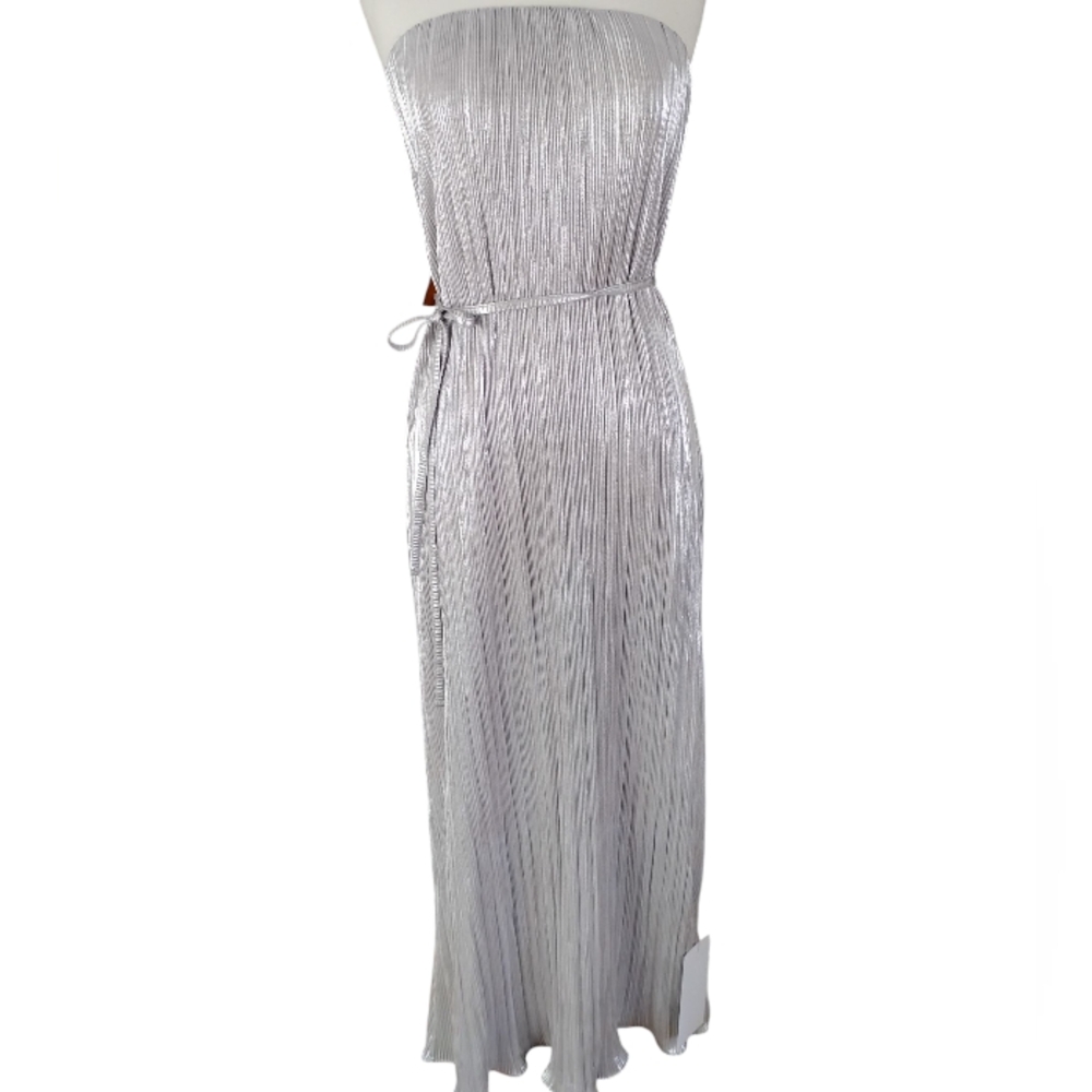 Never Fully Dressed Silver Maxi Dress - Picture 4 of 5